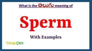 Sperm Meaning in Telugu  Sperm in Telugu  Sperm in Telugu Dictionary [upl. by Emery589]