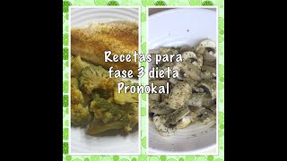 Recetas dieta pronokal fase 3 [upl. by Esiom]