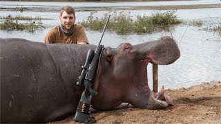 Hippo hunt in Selous Tanzania Africa [upl. by Iderf]