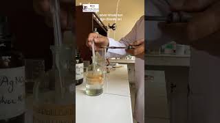 Silver nitrate chloride ion test with Practical Guru Monu Sharma [upl. by Ojimmas]