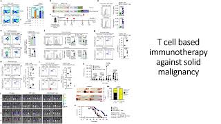 Improved efficiency of CAR Tcell Immunotherapy against solid malignancy Ovarian Cancer Code 715 [upl. by Rizzo]