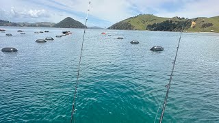 Thamescoromandel New Zealand overnight fishing trip [upl. by Naired]