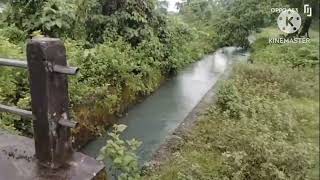 Irrigation Main Sluice Gate amp Paddy field [upl. by Akfir]