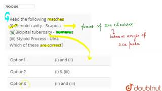 Read the following matches i Glenoid cavity  Scapula ii Bicipital tuberosity [upl. by Moureaux87]