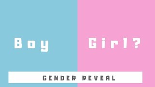 Baby Gender REVEAL [upl. by Ahsiniuq]