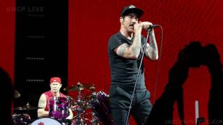 Red Hot Chili Peppers  Intro jam  Around The World  Phily MultiCam SBD audio Amazing intro [upl. by Rachel]