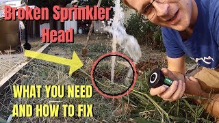 Broken Sprinkler Head  RainBird  What You Need And How To Fix [upl. by Leiser347]