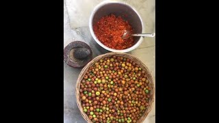 GoGrameencom  Regi Vadiyalu Recipe in Teluguరేగి పండుతో వడియాలు jujubi snack Regi vadiyalu USA [upl. by Akfir]