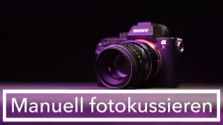 Fokuslupe oder FokusPeaking was ist besser Leichter fokussieren mit der DSLM Sony Alpha 60007er [upl. by Neelehtak]