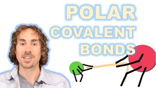 Polar Covalent Bonds [upl. by Gehlbach]