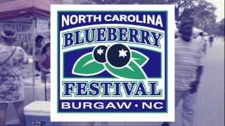 NC BLUEBERRY FESTIVAL Burgaw NC [upl. by Malorie874]