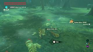 BotW Trial of the Sword Final Trials Level 1 [upl. by Lonnie]