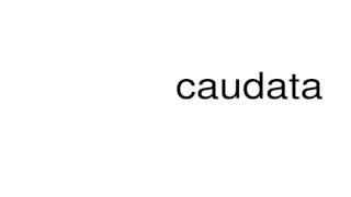 How to pronounce caudata [upl. by Lymn]