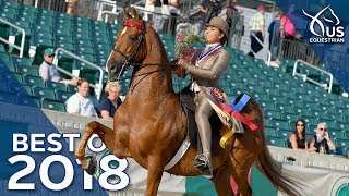 Best of 2018 Saddle Seat World Cup [upl. by Aicilaana]