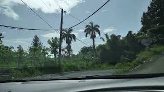 Driving from Jericho Hanover to Cascade Hanover in rural Jamaica while on vacation [upl. by Anitnauq835]