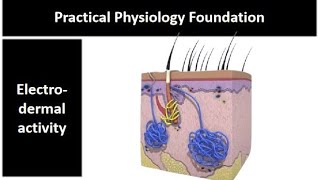 practical physio found  Electrodermal activity  Adham Saleh [upl. by Selinski]