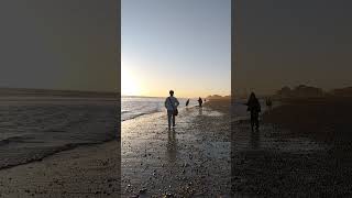 Brighton seafront Low Tide [upl. by Negaem941]