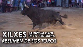 RESUMEN TOROS DE ENTRE SEMANA  XILXES  SANTÍSSIM CRIST DE LA JONQUERA [upl. by Annaili]