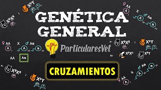 📋CRUZAMIENTOS 📌 Estructura 📌 Genética general [upl. by Ulland]