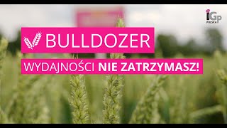 🌱 Pszenica ozima BULLDOZER [upl. by Oilcareh448]