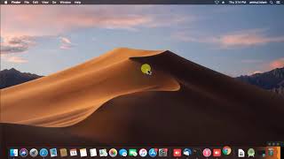 How To Install TeamViewer on Macos Mojave [upl. by Delanty]