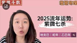 2025流年运势紫微七杀｜蛇年运势｜乙巳年 [upl. by Sublett657]