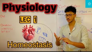 homeostasis  physiology lec 1 [upl. by Carboni761]