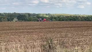 Case IH Optum 300 with Vaderstad Rapid winter drilling 2024 [upl. by Enneillij]