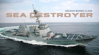 The Arleigh BurkeClass Destroyers Naval Dominance  Sea Warrior [upl. by Jorgan]