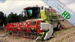 ERNTE SPEZIAL  Bohnen und Lupinen dreschen  Claas Mega 218 Dominator [upl. by Bonacci]