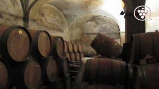 Visita Celler Cal Pla  1ª parte wwwenoguiacat [upl. by Donalt]