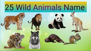 25 wild animals name  25 wild animals name in english [upl. by Hcahsem]