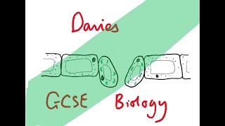 GCSE Biology 28 Food Tests Required Practical [upl. by Arundell]