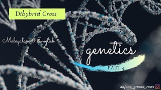 Dihybrid Cross  Malayalam  Genotypic amp Phenotypic Ratio Of Dihybrid Cross  6th Sem  NEET Biology [upl. by Airpal9]