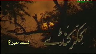 Ptv Old Drama Serial Kikar Kanday Episode 12 PTV NATIONAL [upl. by Acinoreb]