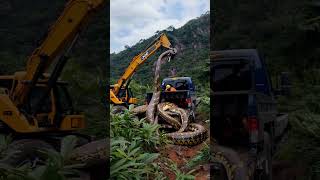 Crane Lifts Injured Giant Pythons onto Trucktruck python anime wildlife [upl. by Atiekahs656]