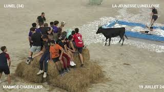 TORO PISCINE DU 19 JUILLET MANADE CHABALLIER A LUNEL [upl. by Roshelle84]