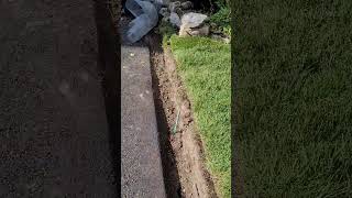 Installing Sod Around Tree  sod installation diy  repairing fence retaining wall  Landscaping [upl. by Aicileb]