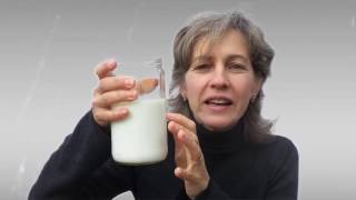 The best probiotic after antibiotic Kefir [upl. by Thor]