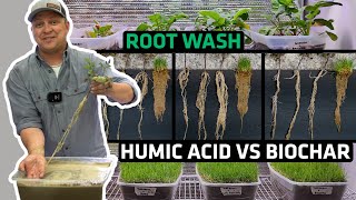 Humic Acid and Biochar Rooting Mass Must See [upl. by Nandor]