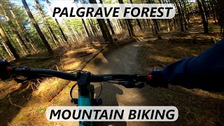 Palgrave mountain biking trails  Ontario  April 2022 [upl. by Madid984]