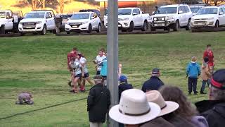 First grade tries today v Gunnedah [upl. by Mcgill491]