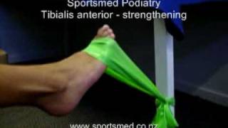 tibialis anterior strengthening [upl. by Ado]