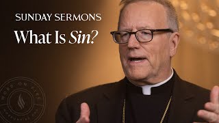 What Is Sin  Bishop Barrons Sunday Sermon [upl. by Gewirtz634]