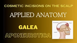 Galea aponeurotica Cosmetic incisions Applied anatomy of scalp [upl. by Cinda]