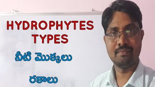 Hydrophytes types class 11 Bhaskars biology [upl. by Rees784]