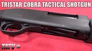 TriStar Cobra Tactical Shotgun [upl. by Oringas148]