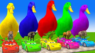 5 Giant Duck CartoonCowElephantGiraffeTigerLion Paint Wild Animals Crossing Fountain Animation [upl. by Alyar]