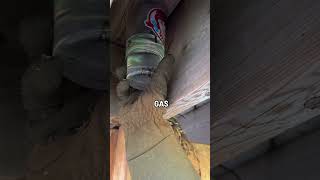 Removing a Wasps Nest With Gas [upl. by Amekahs]