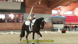 CVI Ermelo 2014 Seniorteams 02 Nordheim 1 GER [upl. by Deming]